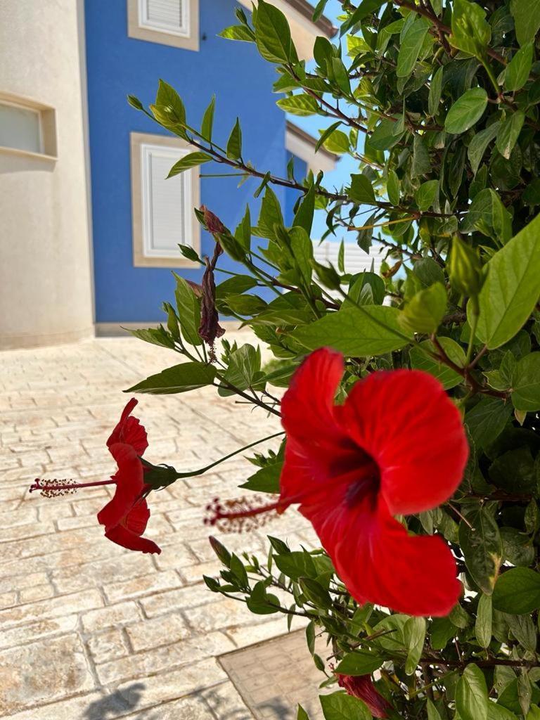 Villa Chiara Pozzallo Esterno foto